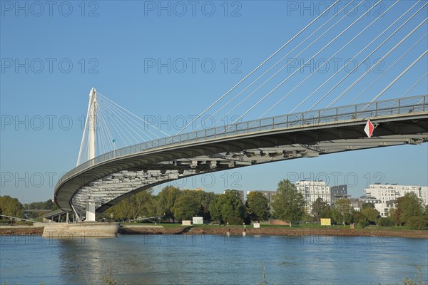 Passerelle des Deux Rives cable-stayed bridge over the Rhine