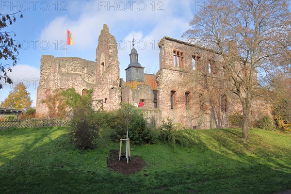 Romanesque palace of Hayn Castle and church tower
