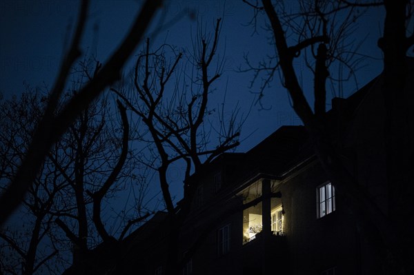 Christmas lights stand out in a window behind bare trees in Berlin