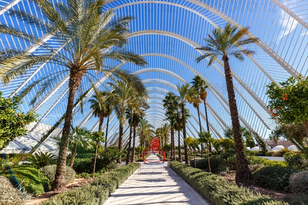 Ciutat de les Arts i les Ciencies with L'Umbracle building modern architecture by Santiago Calatrava in Valencia