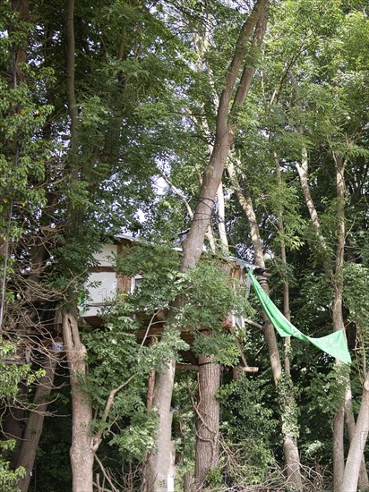 Tree house on the edge of the Garzweiler opencast lignite mine