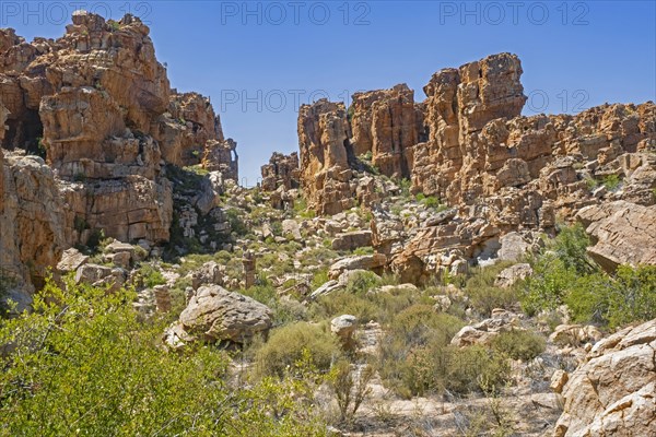 Sandstone rock formations at Truitjieskraal in the Matjiesrivier Nature Reserve