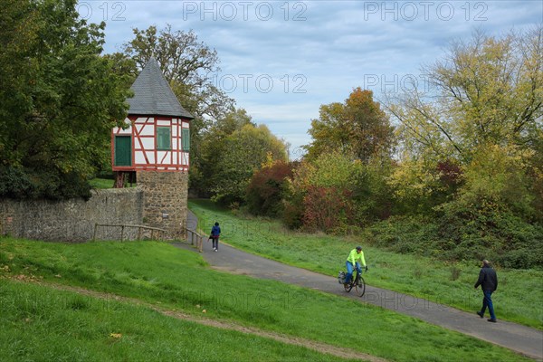 Historic customs house on the banks of the Main