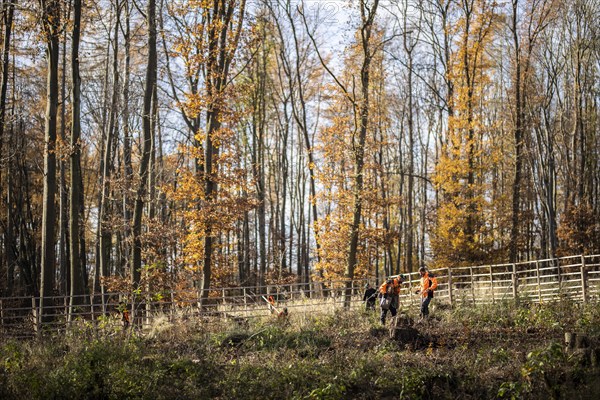 Forestry workers during reforestation near Oschersleben