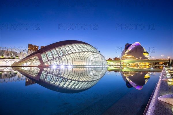 Ciutat de les Arts i les Ciencies modern architecture by Santiago Calatrava at night in Valencia