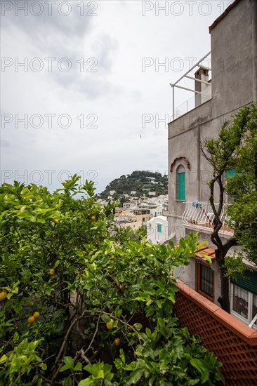 Beautiful island feeling with old houses and the sea on the island of Capri