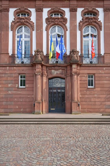 Portal with French national flag