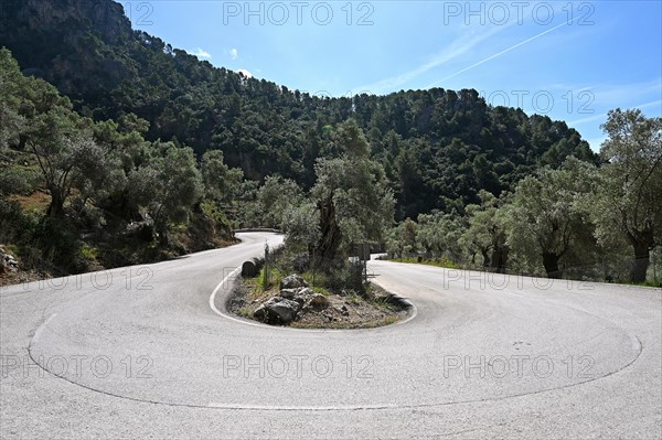 Serpentine curve at Coll de Soller in the Tramuntana Mountains