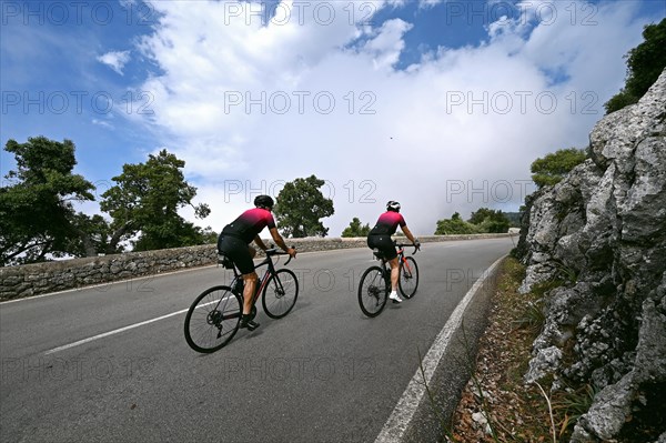 Road cyclist on the Ma10 road in the Tramuntana mountains