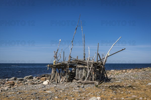 Driftwood beach hut
