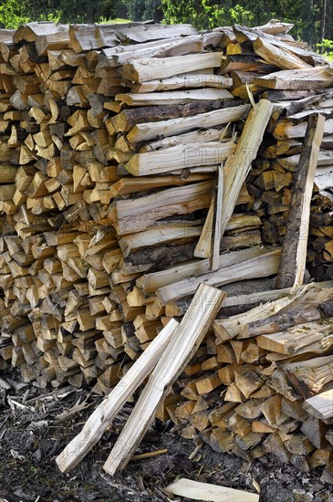 Stacked firewood