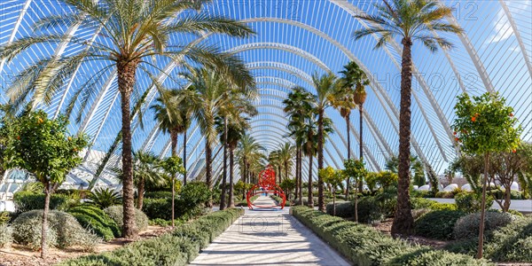 Ciutat de les Arts i les Ciencies with L'Umbracle building modern architecture by Santiago Calatrava panorama in Valencia