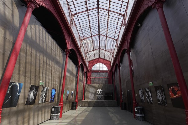 Historic market hall Mercado Fereira Borges