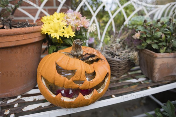 Symbolic photo on the theme of Halloween. A dried pumpkin with a face carved into it stands on a bench. Berlin