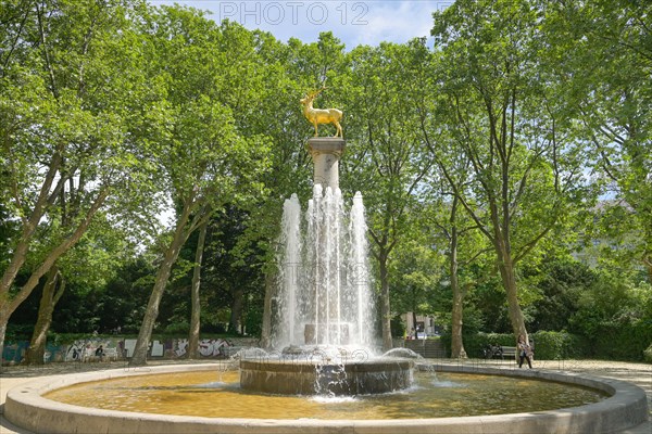 Fountain Zum Goldenen Hirschen