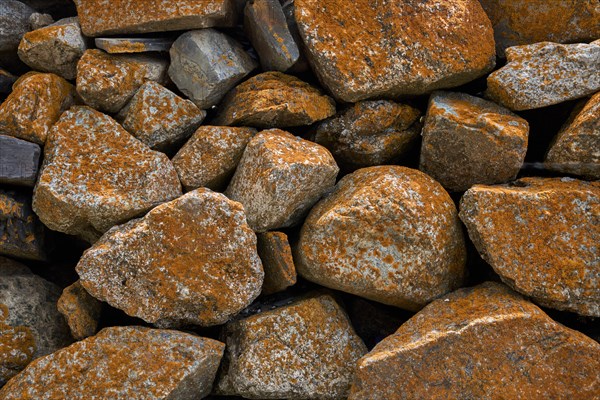 Quarry stone wall with lichens