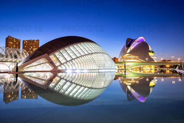 Ciutat de les Arts i les Ciencies modern architecture by Santiago Calatrava at night in Valencia