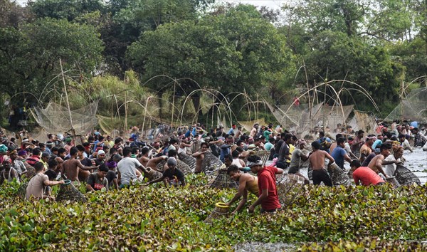 Villagers participate in a community fishing event on the occasion of Bhogali Bihu Festival at Goroimari Lake in Panbari village