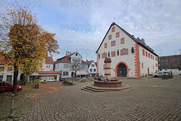 Market square with fairytale fountain and town hall