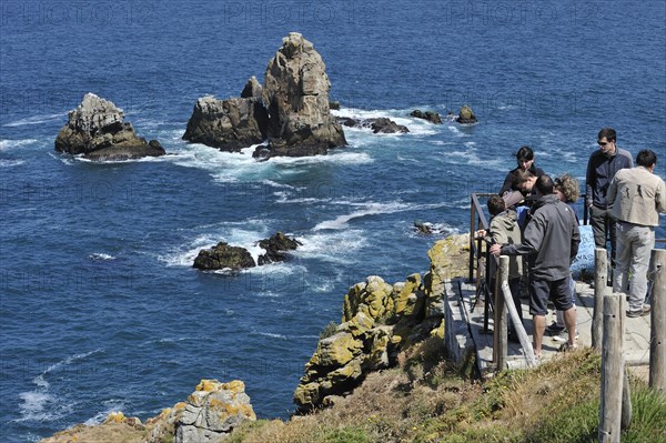 Tourists and birdwatchers looking at sea birds along the rocky coast at Cap de Sizun