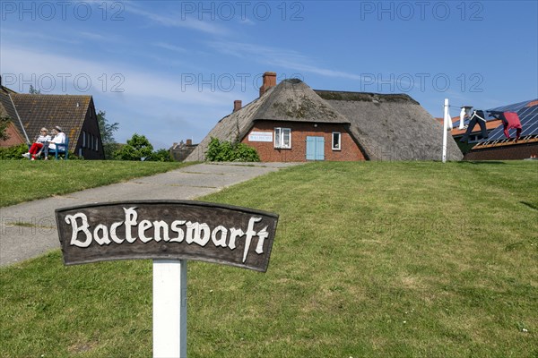 Backenswarft