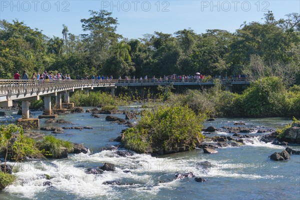 Bridge above the falls