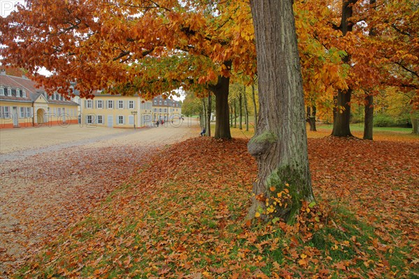 Wilhelmsbad state park with castle in autumn