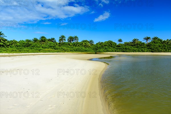 River coming out of the middle of the native vegetation and going towards the sea over the sand at Sargi beach in Serra Grande