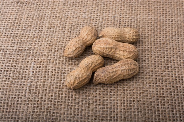 Peanuts with shell on linen canvas background