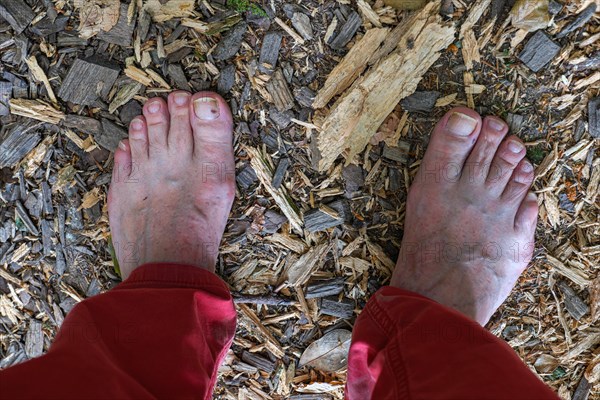 Feet of a man on the Wuppenau barefoot path on the Nollen