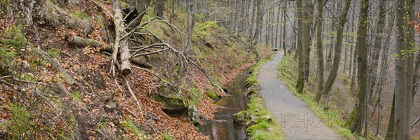 Path through the Radau Valley