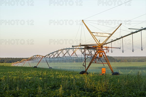 Field irrigation