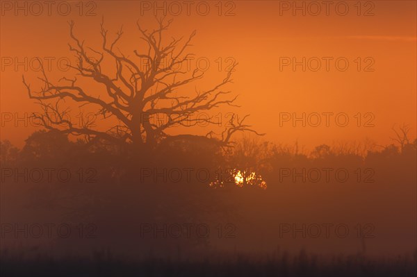 Autumn in the floodplain