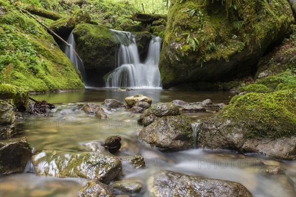 Waterfall in the UNESCO World Heritage Beech Forest in the Limestone Alps National Park