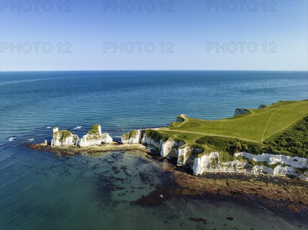 Aerial view of the chalk coast Old Harry Rocks