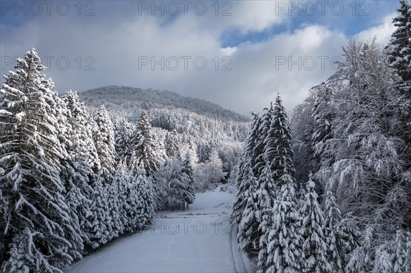 Stallauer Eck and Enzenauer Kopf