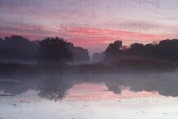 Autumn in the floodplain