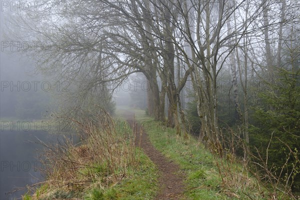 Path at the Marienteich