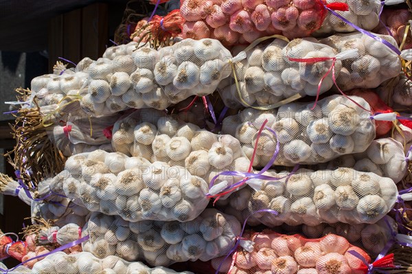 Bunch of garlic bulbs at the market place