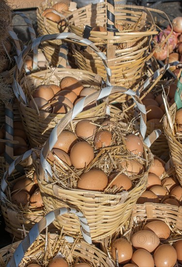 Organic fresh farm eggs in the straw basket