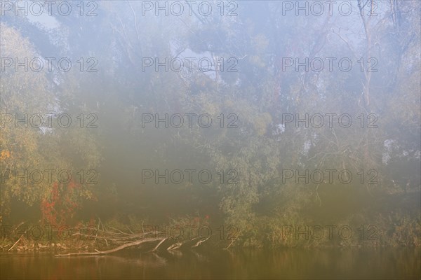 Autumn in the floodplain