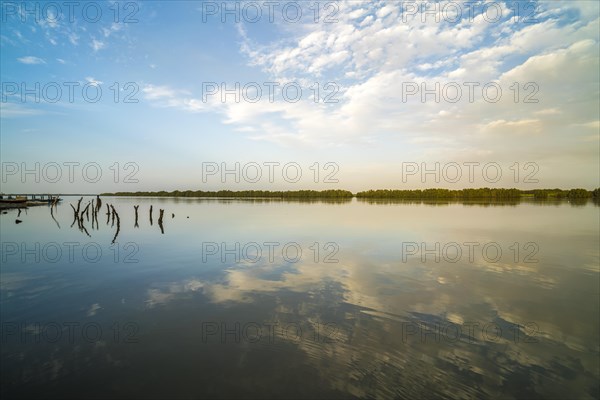 Clouds reflected in a branch of the Gambia River