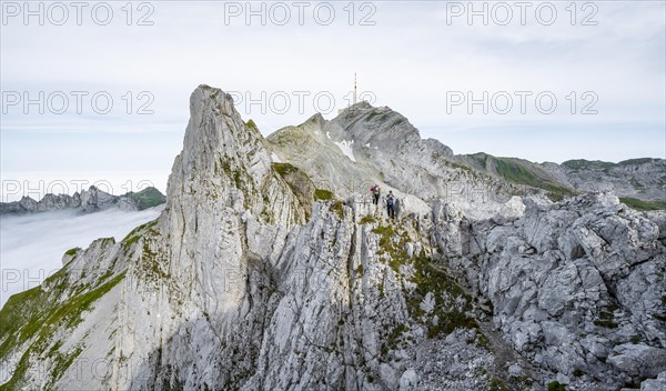 Mountaineer on the Lisengrat