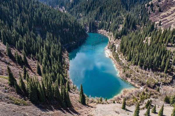 Aerial of the Kaindy lake with its dead trees