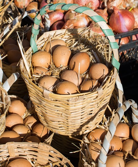 Organic fresh farm eggs in the straw basket