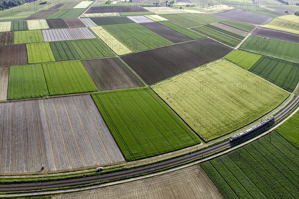 Landscape at the Neckar loop