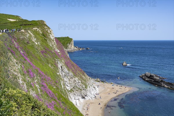 Man O'war Bay on the Jurassic Coast near Durdledoor