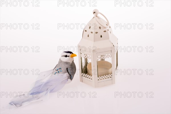 Bird near a red birdcage