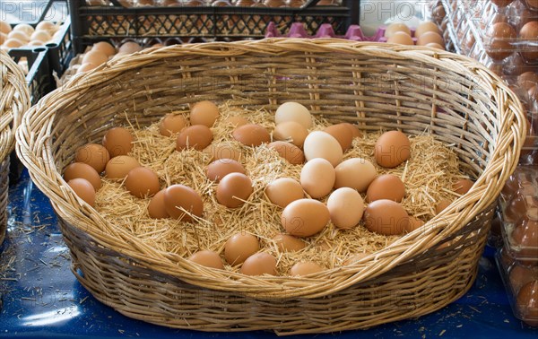 Organic fresh farm eggs in the straw basket