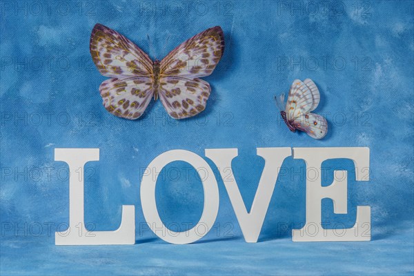 Word love written in white wooden letters with blue background and flying butterflies